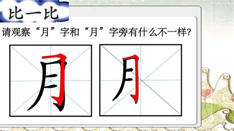 月字部首的字|月字旁的字有哪些,部首为月的汉字大全